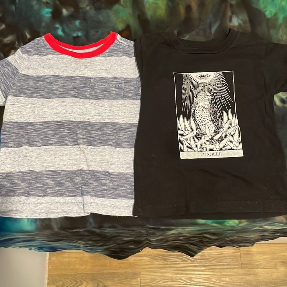 A set of 2T Short Sleeve T-Shirts